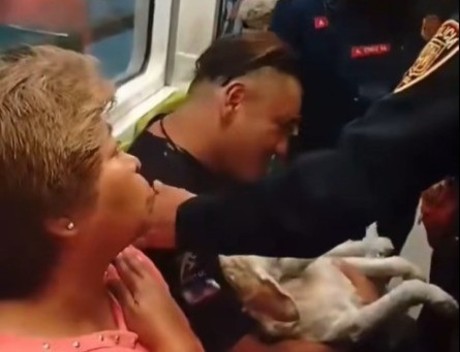 Desalojan a hombre con perrito herido de vagón del metro