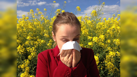 Aumento de alergias en Durango