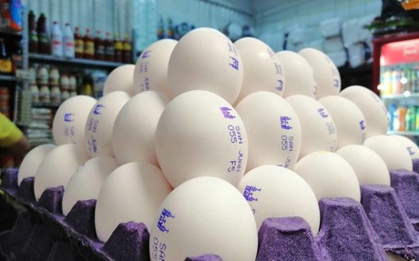 Baja precio del kilo de huevos en la frontera, anda en los 15 pesos