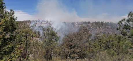 Suman nueve incendios forestales en el municipio