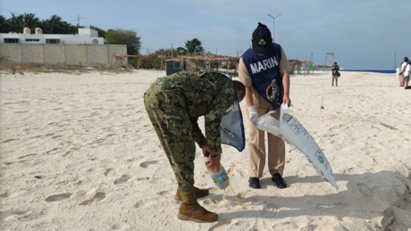 Marina realiza limpieza de playas y manglares en Puerto de Celestún