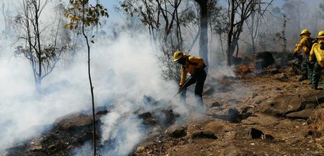 Siguen activos seis incendios forestales en Edomex