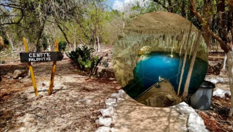 Así es el cenote Palomitas, el ojo de agua más grande de Yucatán
