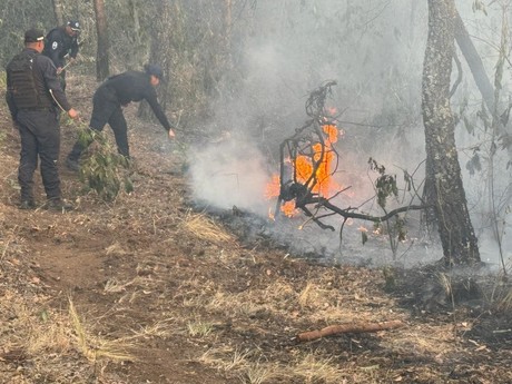 Surgen dos nuevos incendios forestales en Edoméx (VIDEO)
