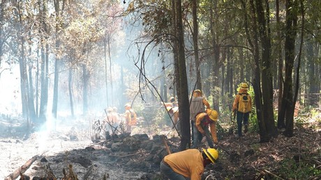 Detecta Edomex incendios forestales en nueve minutos