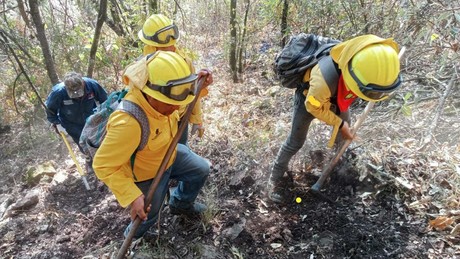 Enfrentan cuatro incendios forestales en el Estado de México