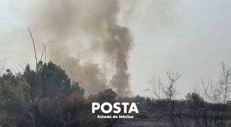 Incendio en Nezahualcóyotl: bomberos sofocan fuego en zona de pastizal