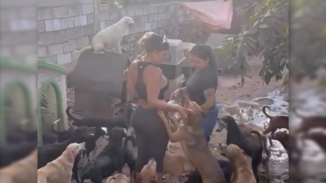 Visita Niurka Marcos refugio de perritos en Yucatán para hacer donaciones