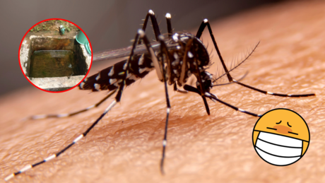 ¿Dengue en Piedras Negras? Dos pacientes bajo sospecha 