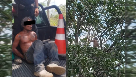 Arrestado tras tratar de escapar de la policía trepando un árbol en Tizimín