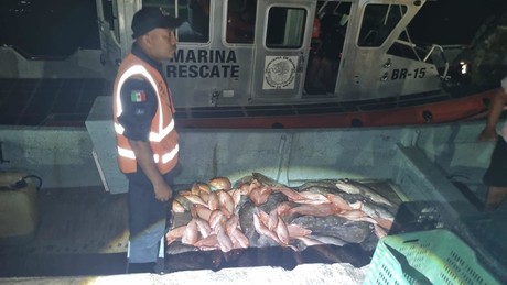 Por falta de documentos decomisan cargamento pesquero en Progreso