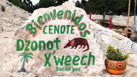 Cenote del Armadillo: Descubre qué esconde esta maravilla subterránea en Sucilá