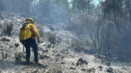 Combaten incendios forestales en Amanalco y Tlalnepantla