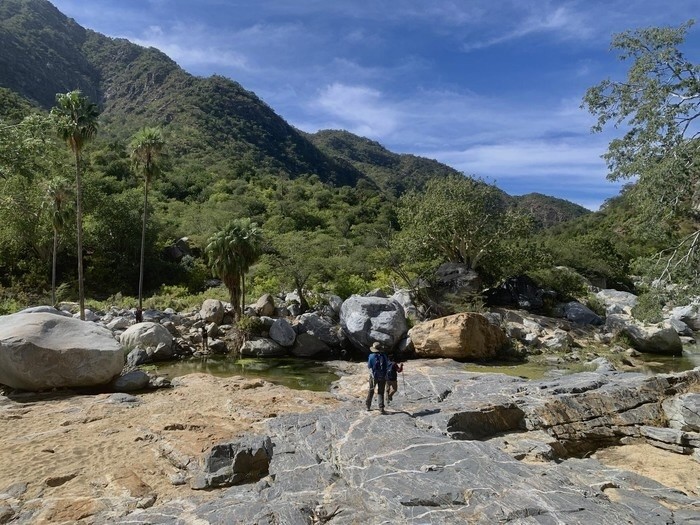 Cañón San Bernardo, BCS. I Foto: Wikiloc.