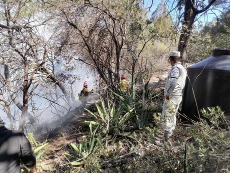Incendios forestales en Tamaulipas extinguidos