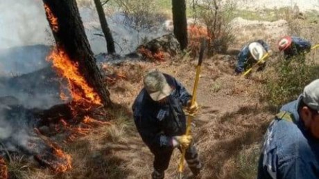 Alertan por nueve incendios forestales  en Edomex (VIDEO)