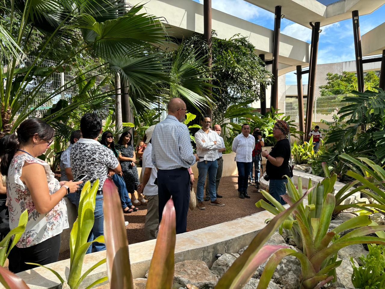 Jardín Botánico Regional 'Roger Orellana' del Centro de Investigación Científica de Yucatán (CICY). Foto: Alejandra Vargas