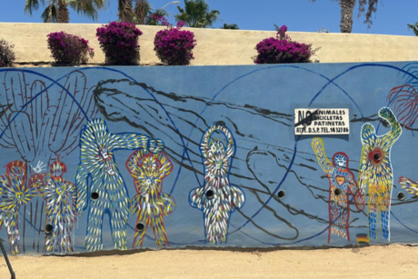 Crean proyecto de arte 'Semillas de Agua' en Los Cabos, ¡conócelo!