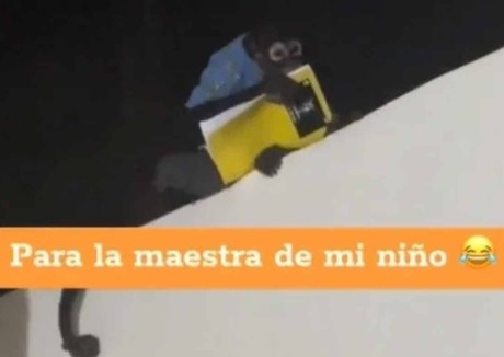 Changuito se roba la tarea de un niño en Culiacán (VIDEO)