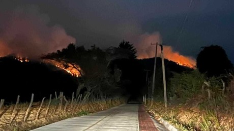 Cinco días después está bajo control el incendio forestal en El Peñón