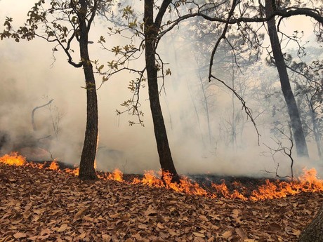 El fuego no da tregua, sin control once incendios forestales en Edomex