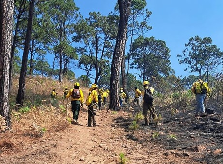 Incendios forestales: Hay dos activos en Ocuilan y Temascaltepec