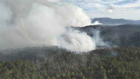 Arrasa incendio con miles de hectáreas en San Dimas
