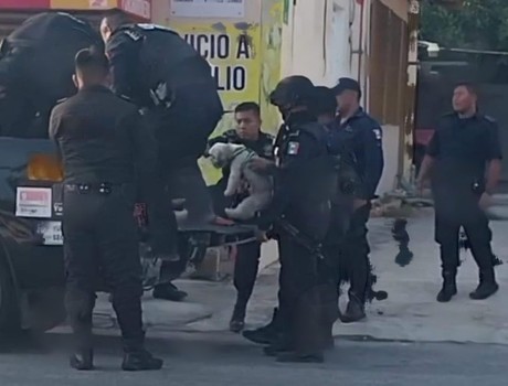 Inusual arresto en Progreso: Se lo lleva la policía con todo y perro