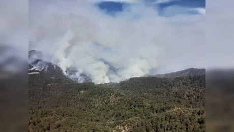 Brigadistas hacen frente al incendio en San Dimas