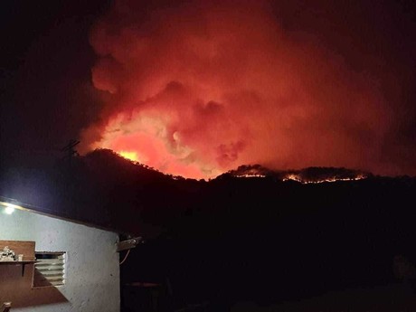 Sin control cinco incendios forestales en Edomex, Temascaltepec el más afectado
