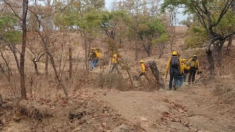 Refuerzan combate en incendio forestal en Temascaltepec