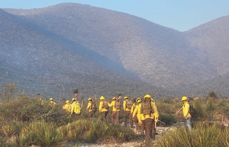 Combaten incendio forestal en Doctor Arroyo, Nuevo León