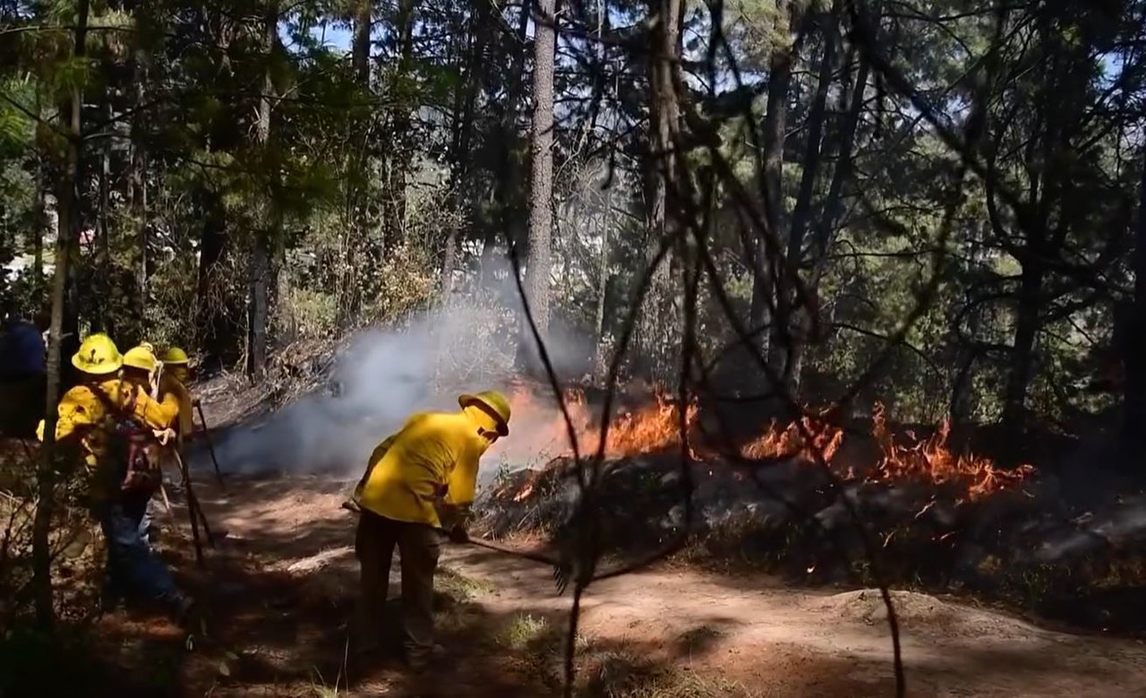 En menos de 24 horas aumentaron a nueve los incendios forestales activos en Edomex. Foto: Probosque