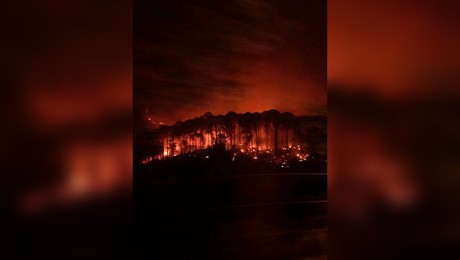 VIDEO: Reportan incendio forestal en San Dimas, Durango