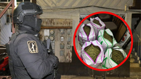 Tras operativo, la SSC asegura 100 kilos de mariguana en la colonia Morelos