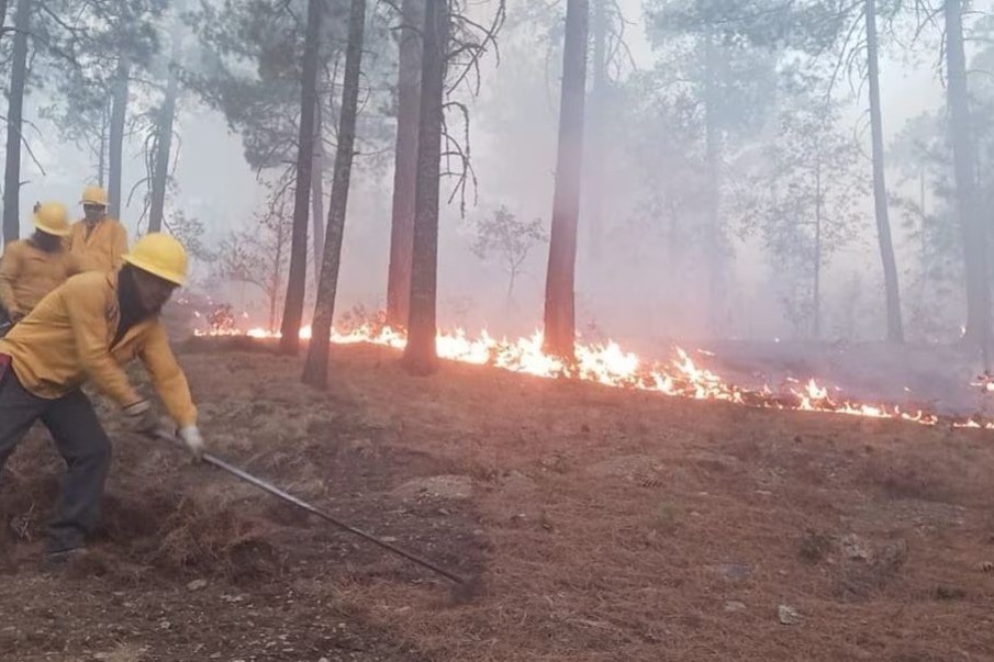 Bomberos de Protección Civil de Chihuahua tratando de extinguir el incendio forestal que hay en la Sierra Tarahumara. Foto: Protección Civil Chihuahua.