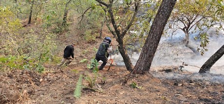 Colabora PC de Victoria en combate de incendio forestal en Cañón del Novillo