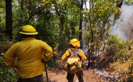 ¡Cesa el fuego! Controlan tres incendios forestales en Valle de Bravo