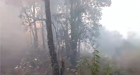 Bajan incendios forestales en Edomex, se combaten cinco