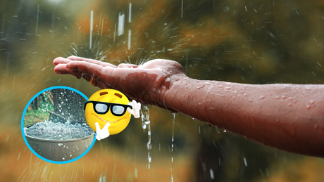 ¿Cómo aprovechar el agua de lluvia? Un salvavidas en tiempos de calor extremo