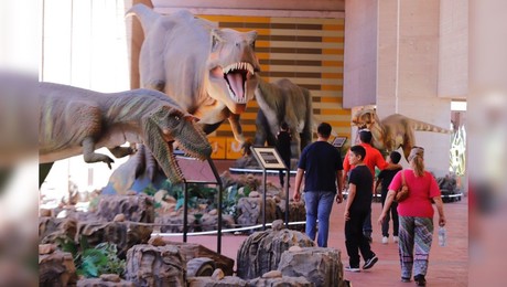 ¡Pronto se va del Bebeleche la exhibición de Dinosaurios!