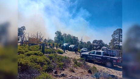 Durango es quinto lugar nacional en daño por incendios forestales
