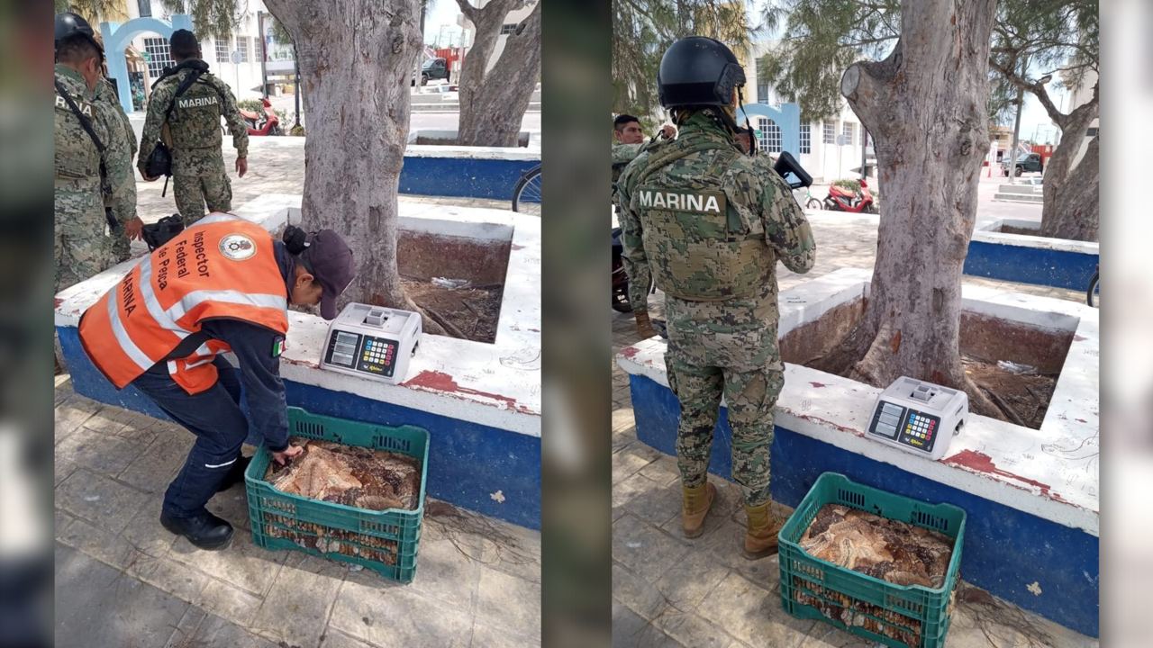 Los agentes lograron detectar y asegurar un ‘sancochadero’ en el puerto de Yucatán Foto: Cortesía