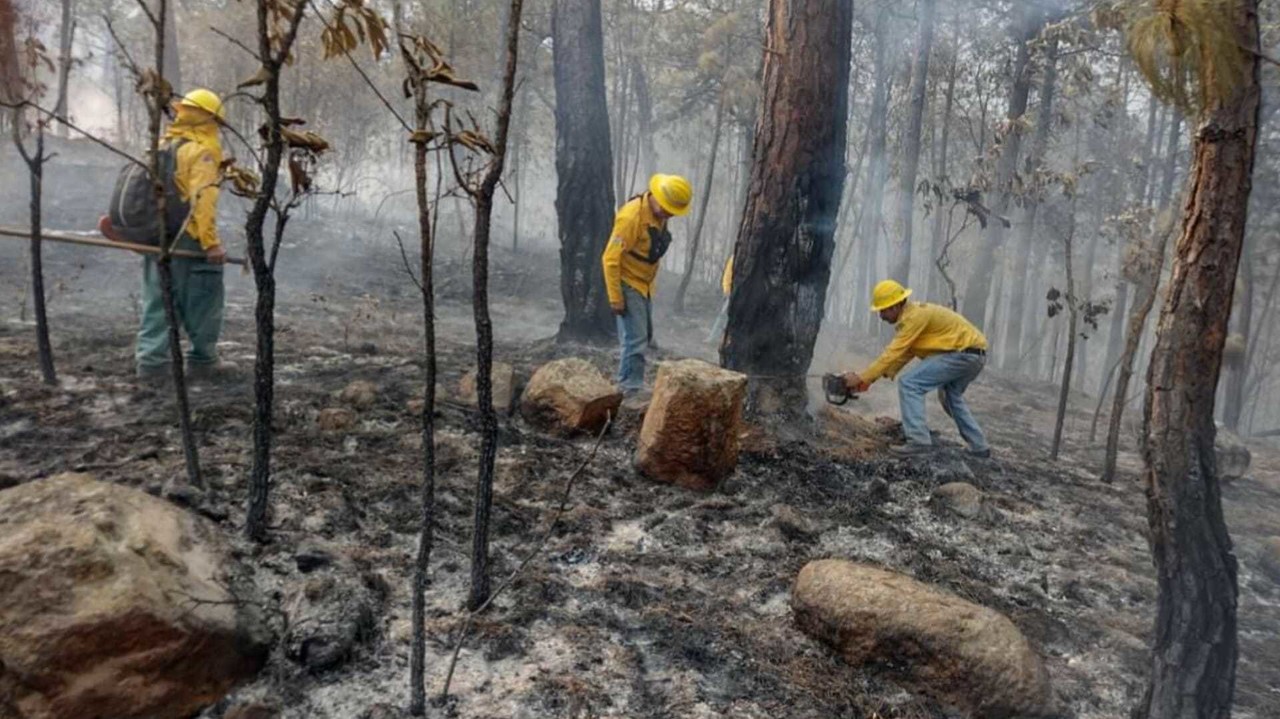 El incendio forestal en El Peñón, registra tres días activo y fuera de control. Foto: Probosque