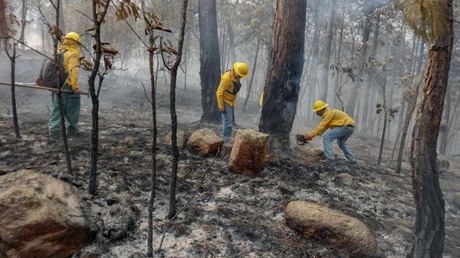 Refuerzan desde el aire combate a incendio forestal en El Peñón