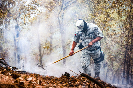 Combate incendio forestal: 80% controlado en Sierra de Santiago