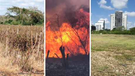 Alerta sobre sequía, incendios e impacto del desarrollo inmobiliario en Yucatán