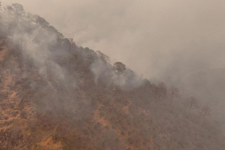 Incendio en la Sierra Madre Oriental consume 1,500 hectáreas en Tamaulipas