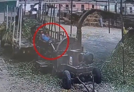 El hombre cayó a la trituradora y aunque sus compañeros quisieron ayudarle, ya era muy tarde. Foto: TV Perú.