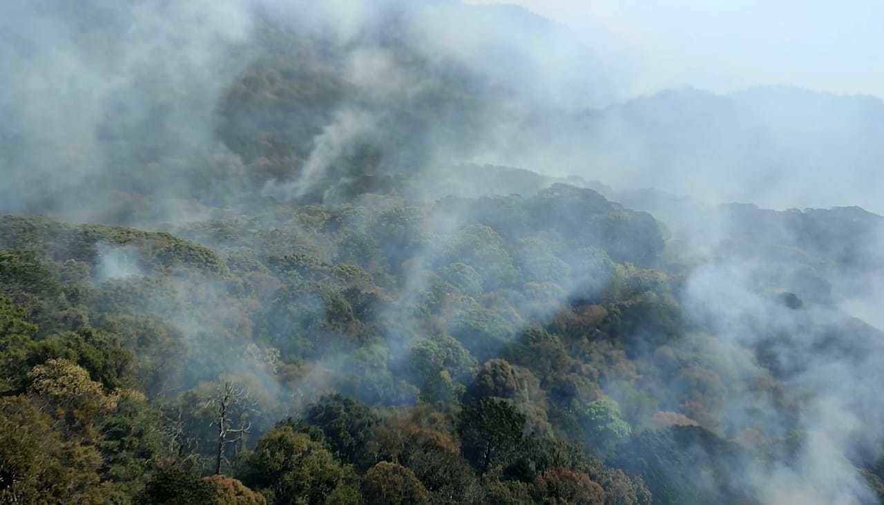 Se presenta incendio forestal en la comunidad de La Chona. Foto: redes sociales